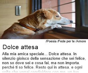 Fede per te - Dolce attesa