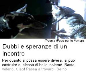 Fede per te - Dubbi e speranze di un incontro