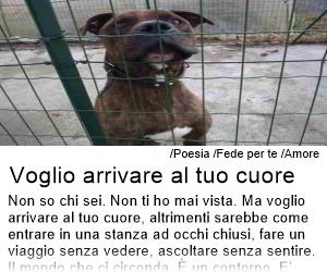 Fede per te - Voglio arrivare al tuo cuore